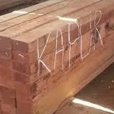 Kapur Wood Timber - Grade: I