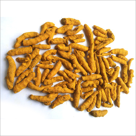 Yellow Double Polish High Quality Turmeric Finger