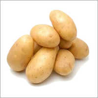 Fresh Potato - Medium Size, Brown Oval Shape | Firm Texture, 100g-200g Russet Variety With Health Benefits