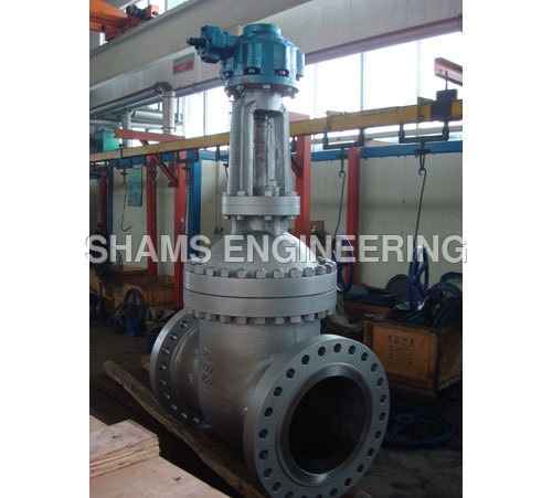 Cast Iron Cs Gate Valve