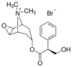 Hyoscine methyl bromide