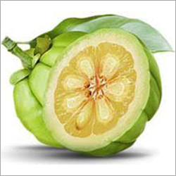 Organic Product Garcinia Cambogia Extract