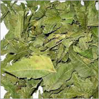 Dry Gymnema Sylvestre Leaves Ingredients: Herbal Extract