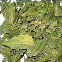 Dry Gymnema Sylvestre Leaves