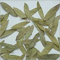 Senna Dry Leaves