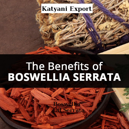 Boswellia Oil Serrata