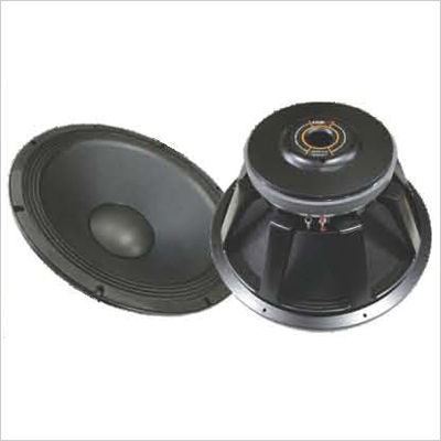 21 Inch Ferrite Series Dj Speaker