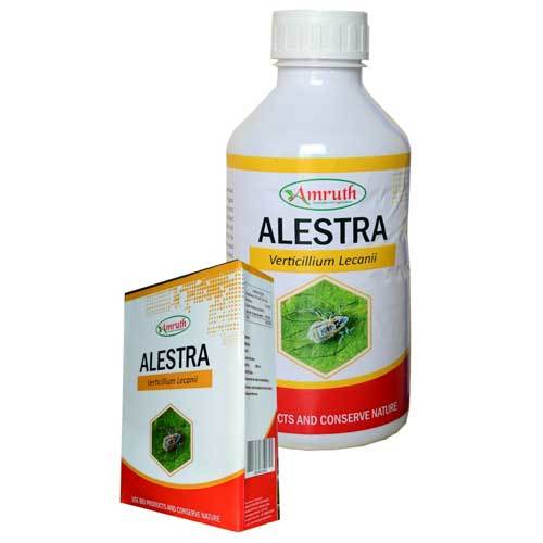 Alestra Liquid