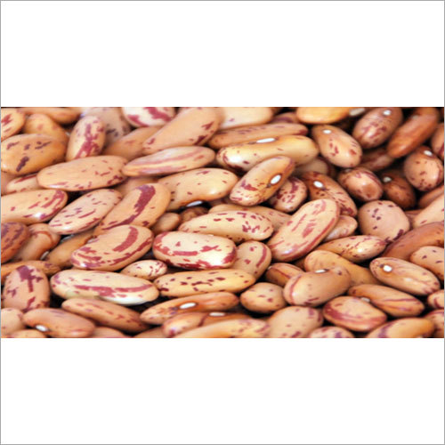 Kidney Bean