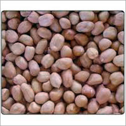 Peanut Kernel