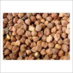 Black Chickpea