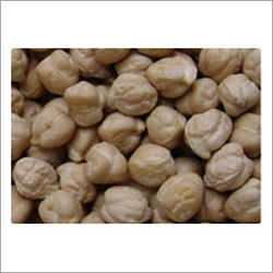 White Chickpea