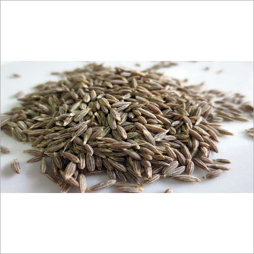 Cumin Seed