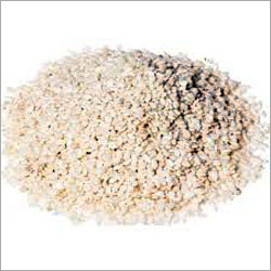 Sesame Seed