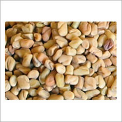 Fenugreek Seed