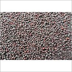 Black Mustard Seed