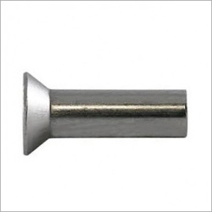 Stainless Steel Ss Csk Head Rivets