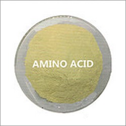 Amino Acids