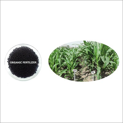 Humic Acid Organic Fertilizer