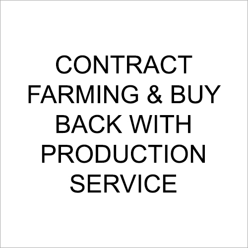 Contract Farming And Buy Back With Production Service