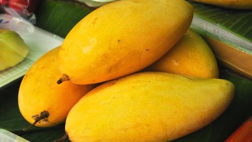 Natural Mango Fruits