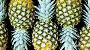Organic Pineapple