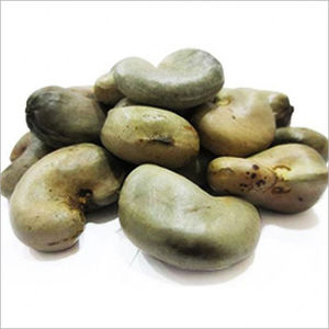 raw cashew nut importers in india