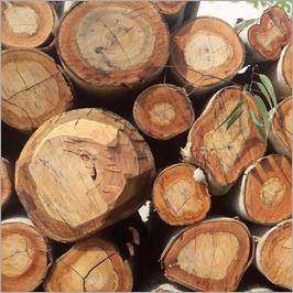 wooden logs wooden logs