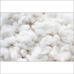 White Cotton