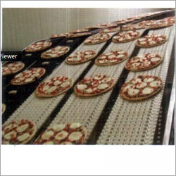 Conveyor Belt for Food Processing & Pharmaceutical industry