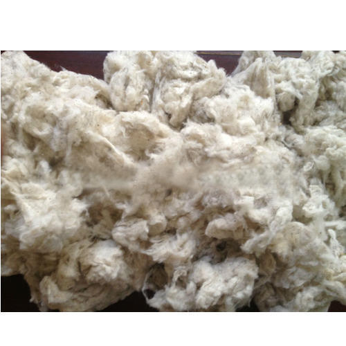Card Fly Cotton Waste