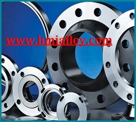 Hastelloy Alloy C22/C276 Flanges - ASTM ASME Standards, NB 48 NB, Class 150-2500#, Corrosion Resistant, High Strength, Custom Sizes