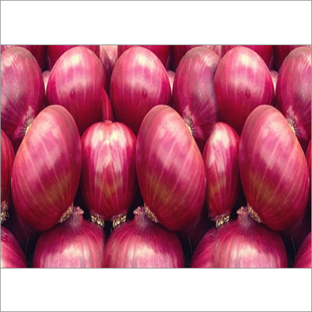 Fresh Red Onion