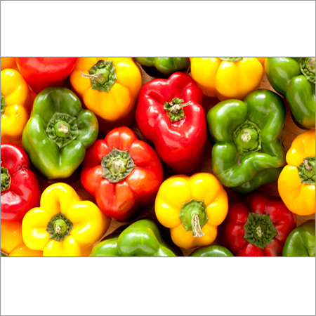 Fresh Capsicum