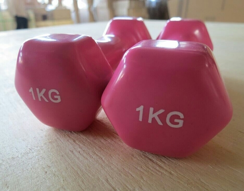 Vinyl Dumbbells