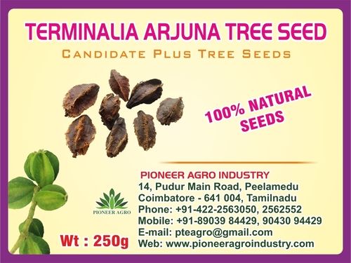 Terminalia Arjuna Tree Seed Weight: 250 Grams (G)