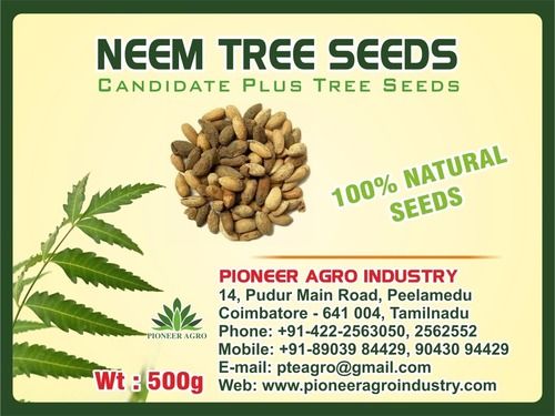 Neem Tree Seed Weight: 1 Kilograms (Kg)