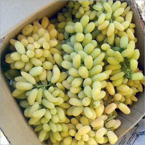 Yellow Graps
