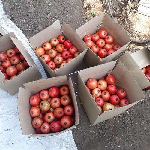 Pomegranate