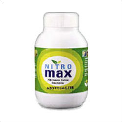 Rhizobium nitrogen fixer