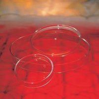 Petri Dishes