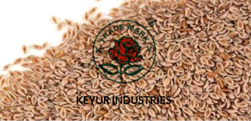 Isabgol Husk Powder Manufacturerisabgol Husk Powder Exporter