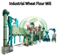 Industrial Wheat Flour Mill Plant