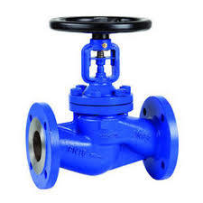 Globe Valve