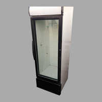 Glass Door Freezer
