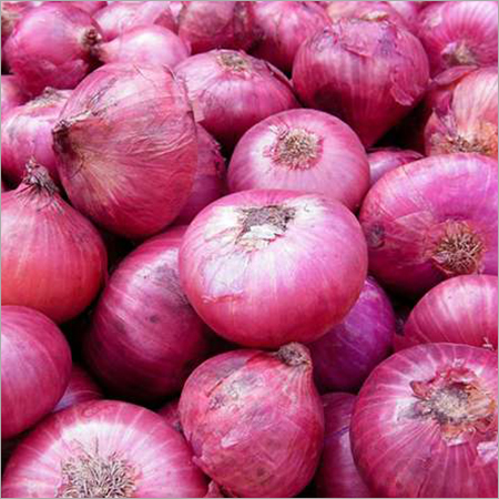 Onion
