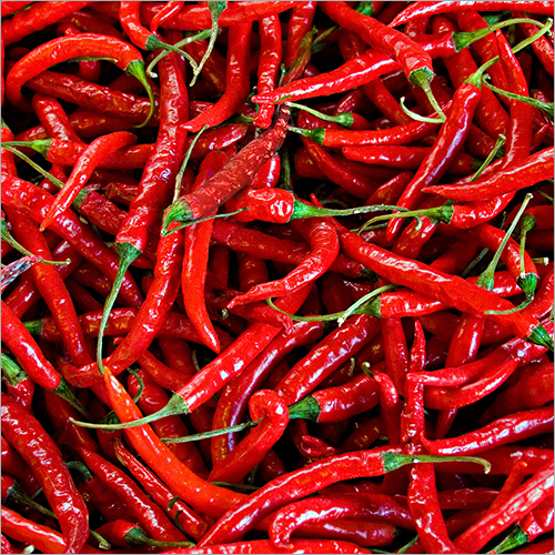 Red Chilli