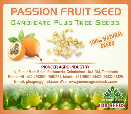 Passion Fruit Tree Seed