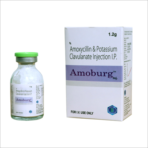 amoxycillin