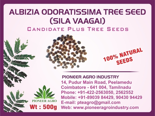 Albizia Odoratissima Tree Seed